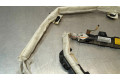 Подушка безопасности двери 9S052860315, 606945890   Alfa Romeo 159
