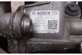 Vstřikovací čerpadlo 167007358R, 0445010704   Dacia Logan II     