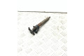 Vstřikovač 31272767, 09081903007   Volvo S80    D5244T14 