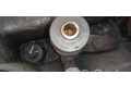 Форсунка 0445110256, 33800-2A400    Hyundai Getz для дизельного двигателя  1.5