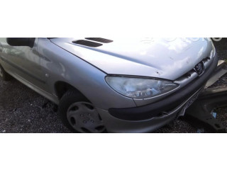 Масляный насос  DV4TD(8HX) 1001F2  Peugeot 206 