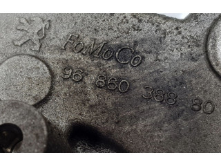 Čerpadlo oleje 9686038880, 1001G8   Peugeot 208   