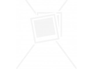 Volant Seat Toledo III (5P) 2005 5P0419091B, 5P0419091B  