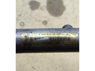 Vstřikovací lišta A6420700695, 10006130   Mercedes-Benz C W203    642910 