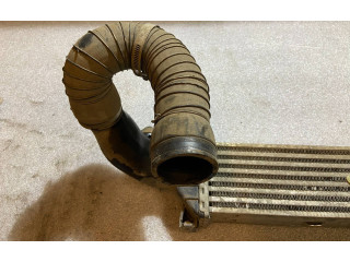 Интеркулер  a2025001100, 2025001100   Mercedes-Benz Sprinter W901 W902 W903 W904 2.9