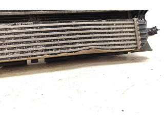 Комплект радиатора 1379417080, 1382421080   Peugeot Boxer