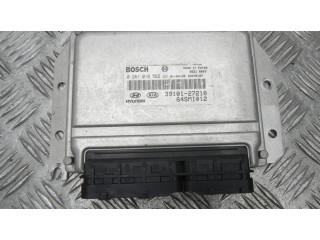 Řídící jednotka 3910127210   Hyundai Santa Fe 2001