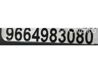   Pojistková skříňka 9664983080, 9664983080   Peugeot 207 2006