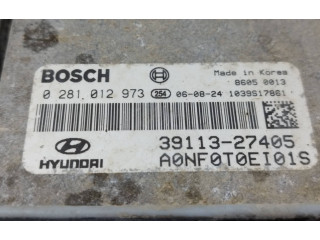 Блок управления двигателя 3911327405, 0281012973   Hyundai Sonata