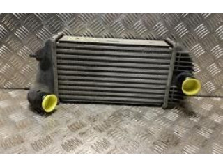 Интеркулер  1362068L51, 1362068L51   Suzuki Swift II 