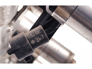 Комплект форсунок 0261500367, 0261555193    Ford Mustang VI  C23HD0D 