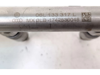 Vstřikovač 06L133317L, 0261500348   Volkswagen PASSAT B8 USA    A6F DDS 