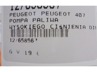 Vstřikovací čerpadlo 9656300380, 9656300380   Peugeot 407    9HY 