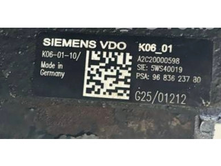 Vstřikovací čerpadlo 9683623780, 5WS40019   Peugeot 407     