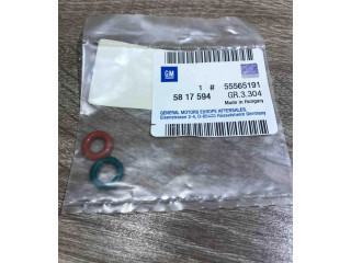 Комплект форсунок 55565191, 5817594    Saab 9-3 Ver2   