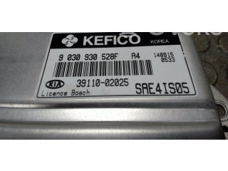Блок управления двигателя 3911002025, 39110   KIA Picanto