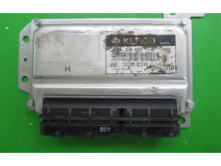 Řídící jednotka 39110-02244, 9030930465F   Hyundai Atos Prime 2004