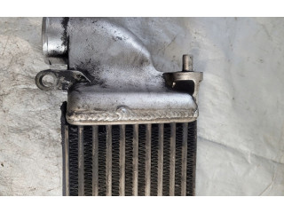 Интеркулер  PCC107370   Rover 45 