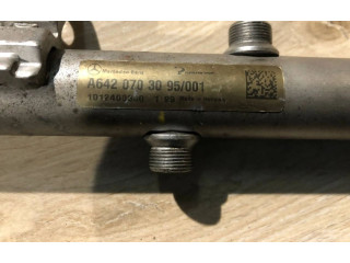 Vstřikovací lišta A6420703095, 1012400300   Mercedes-Benz E W212    OM 642.852 