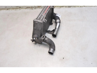 Форсунка 4E0145805D    Audi A8 S8 D3 4E  ASE 