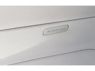 Боковая подушка безопасности    Audi A8 S8 D3 4E