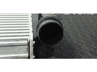 Интеркулер  144614ED1A, M166253A   Renault Kadjar 