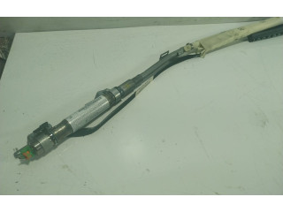 Подушка безопасности двери A2198600005, 6023718007   Mercedes-Benz CLS AMG C219
