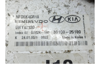 Řídící jednotka 3910025100, 5WY4213D   Hyundai Sonata 2006