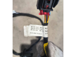 Zpětné zrcátko  Audi A6 S6 C8 4K 2020  4N0857536A, 4K1857410F  