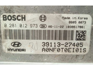 Řídící jednotka 3911327405, 0281012973   Hyundai Sonata 2007