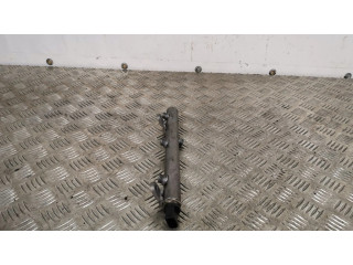 Vstřikovací lišta A6420702695001, A0061533328   Chrysler 300 - 300C  pro naftový motor 3.0  