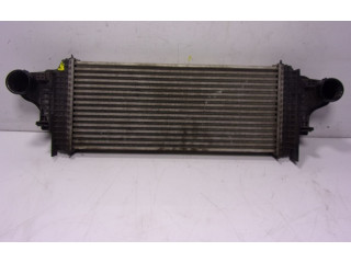 Интеркулер  A1645001900, A2515000000   Mercedes-Benz GL X164 