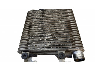 Интеркулер  8972289661, K5576   Isuzu Trooper 3.0