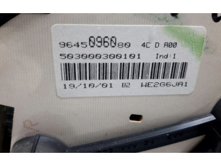 Přístrojová deska  Peugeot 206 2001 9645096080, 109850  