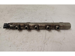 Топливная рампа 0445214095, 55197370   Fiat Grande Punto  