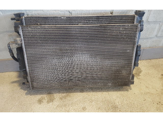 Радиатор охлаждающей жидкости     8200115543B, 8200151465A    Renault Scenic II -  Grand scenic II 