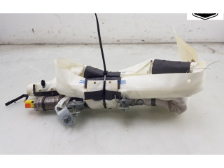 Надувная подушка для крыши 103675900F, 103675900F    Tesla Model X  A0003K8775D 