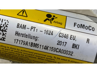 Боковая подушка безопасности 17179A1BM, BAMPT11624   Ford Focus