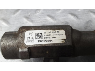 Vstřikovací lišta 9821399680, 192020504   Citroen Berlingo  pro naftový motor 1.5 DV5RD 