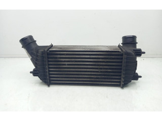 Интеркулер  1440094280, E5542007   Citroen Jumpy 