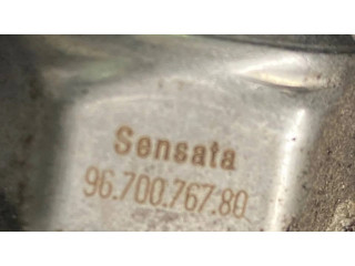 Vstřikovací lišta 9685297580, 9670076780   Citroen DS3  pro naftový motor 1.5  
