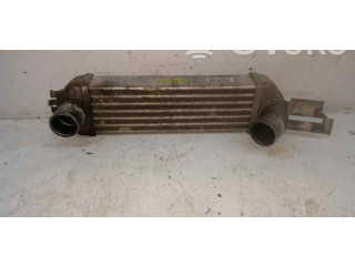 Интеркулер  SIN REF, 52401245   Opel Meriva A 1.7