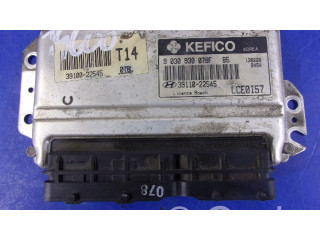 Řídící jednotka 39110-22545   Hyundai Accent 2002