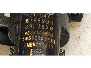 Жиклер (жиклеры) (форсунка (форсунки) 9686191080, 1608902180   Ford  S-MAX  2006 - 2015 года
