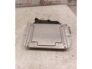 Řídící jednotka 3910427300, 1039S09872   Hyundai Tucson JM 2004