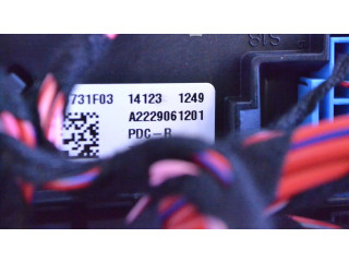   Pojistková skříňka A2229061201   Mercede-Benz S C217 2014