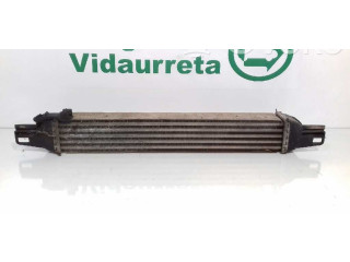 Интеркулер  51790623, L8119001   Fiat Qubo 