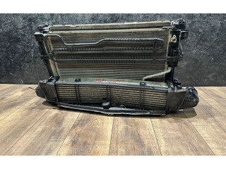 Комплект радиатора 67167, 048222   Mercedes-Benz C W204    