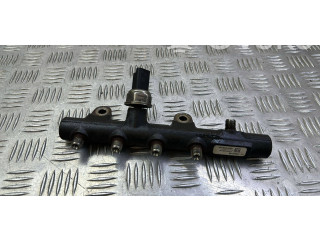 Vstřikovací lišta 175210651R, 160040145   Renault Megane III     