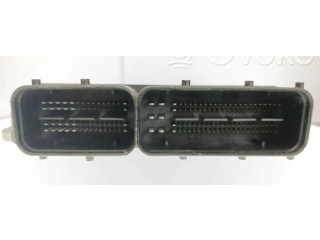 Řídící jednotka 3S1012F050, 391162F050   KIA Carnival 2010